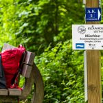 Der erste Steilanstieg aus dem Tal der Sauer ist geschafft. Das Zeichen der weißen Welle auf blauem Grund ist das offizielle Zeichen des Trails / © Foto: Georg Berg