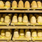 Zincarlin in einem Felsenkeller. Produktion des traditionellen Zincarlin Käses aus dem Muggio Tal im Tessin, Mendrisio. Drei verschiedenen Altersstufen der Tessiner Kästespezialätit werden hier gelagert. Die Käse Zylinder werden fast jeden Tag mit Weißwein abgewaschen / © Foto: Georg Berg