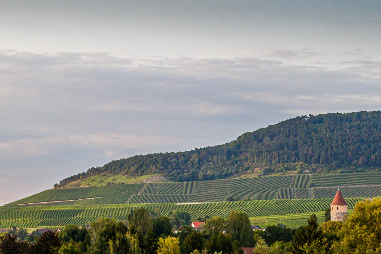 Julius-Echter-Berg, le vignoble le plus célèbre du domaine Hans Wirsching / © Foto : Georg Berg