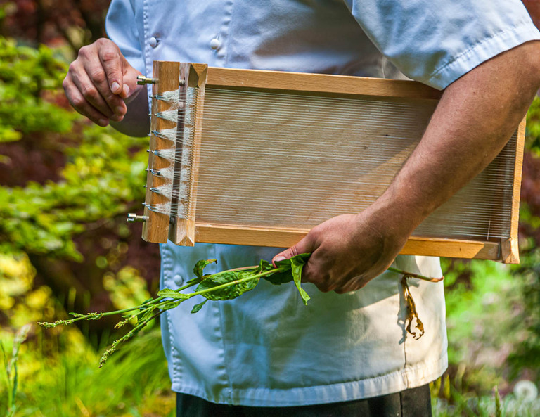 Les travaux d'entretien de la Carraturo consistent uniquement à resserrer les cordes / © Photo : Georg Berg