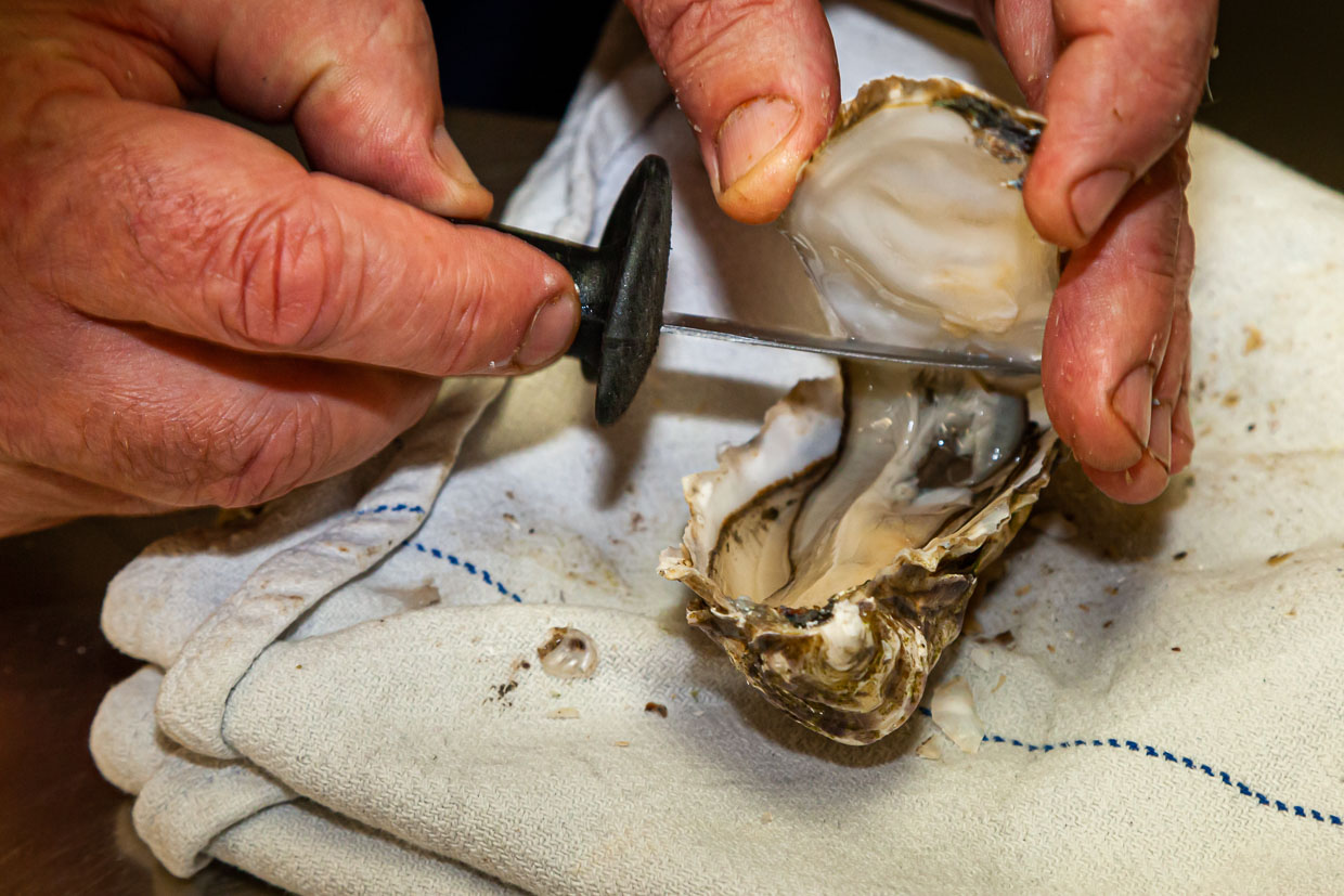 Ouvrir une huître avec un couteau à huîtres / © Photo : Georg Berg