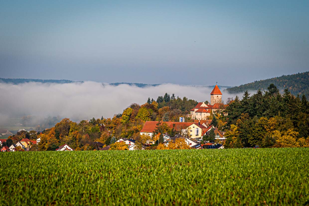 Les collines verdoyantes du Haut-Palatinat et, au milieu, dans la brume matinale, le château de Wernberg / © Photo : Georg Berg