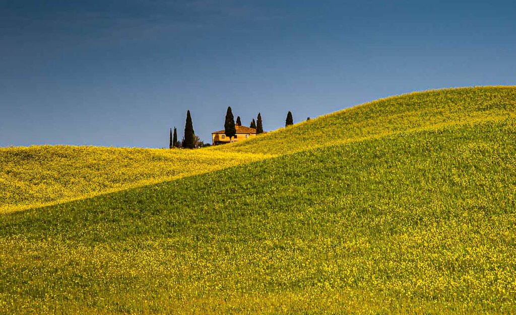 Maison de campagne dans un paysage de Toscane avec un champ de colza en fleurs / © Photo : Georg Berg