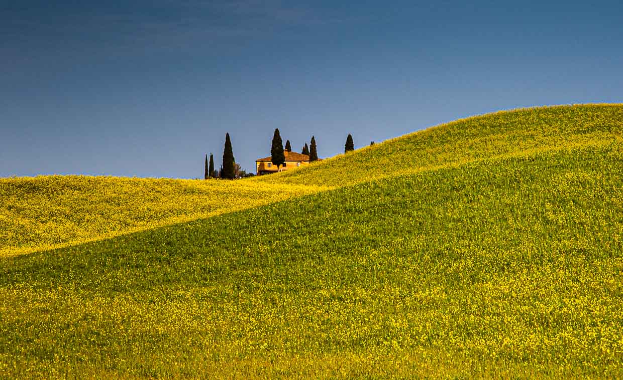 Maison de campagne dans un paysage de Toscane avec un champ de colza en fleurs / © Photo : Georg Berg