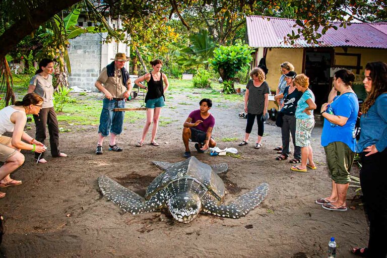 Sur un modèle grandeur nature, un scientifique familiarise le groupe de scientifiques amateurs avec les activités qu'ils doivent effectuer eux-mêmes sur une tortue de mer vivante pendant la nuit noire / © Photo : Georg Berg