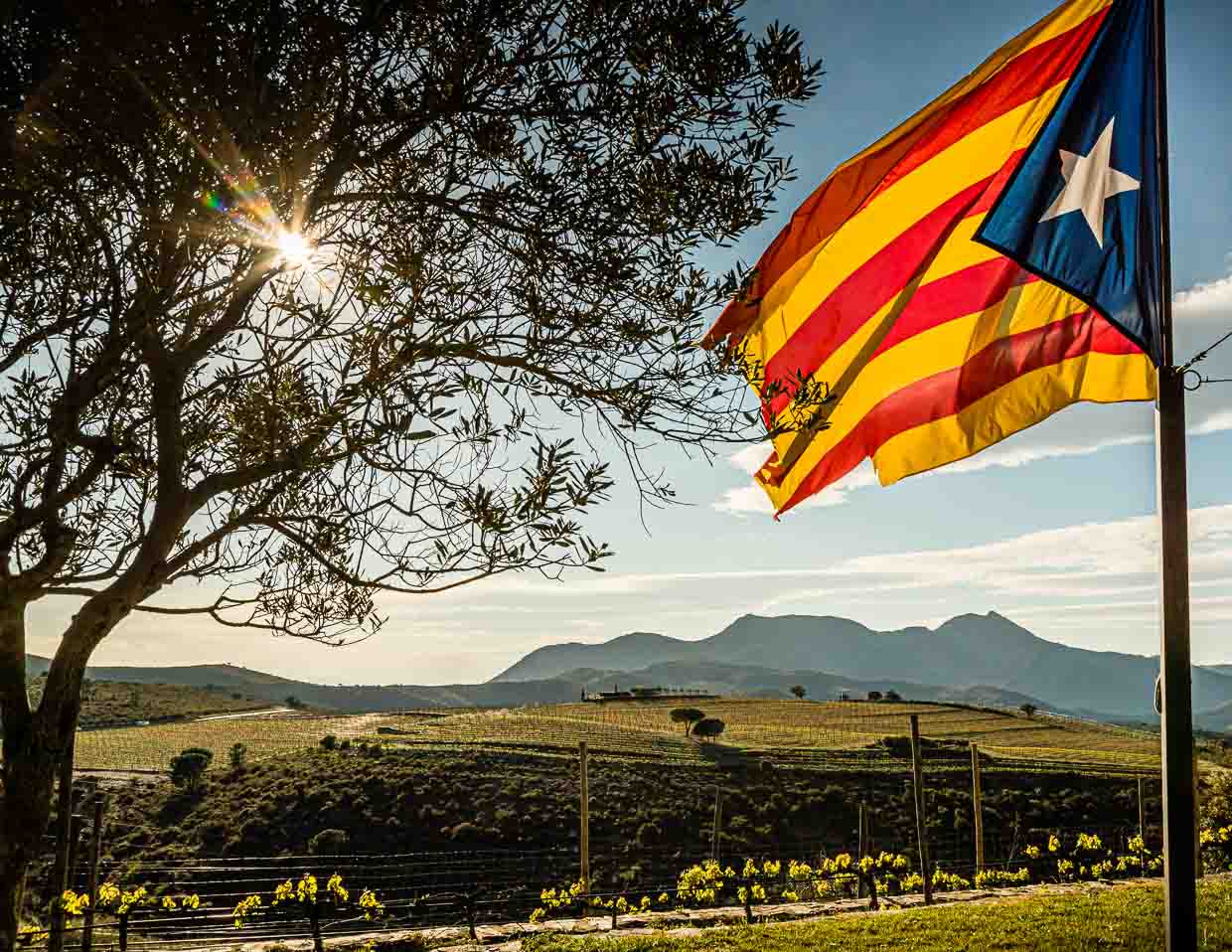 Le vin, la sierra et la mer. Trois domaines viticoles se trouvent dans la réserve naturelle du Cap de Creus. Le drapeau catalan flotte sur le domaine viticole de Martin Faixó / © Photo : Georg Berg