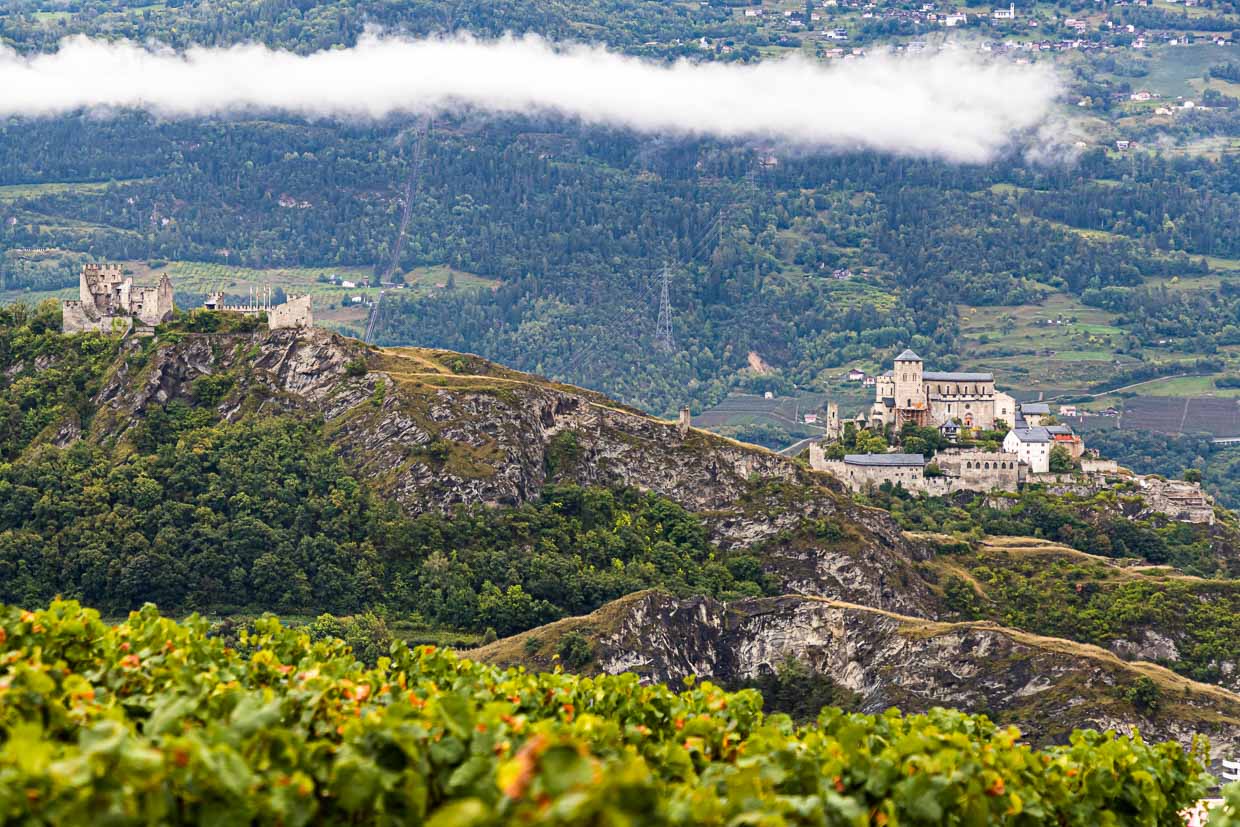 Sion avec les châteaux de Valère et de Tourbillon entourés de vignobles / © Photo : Georg Berg