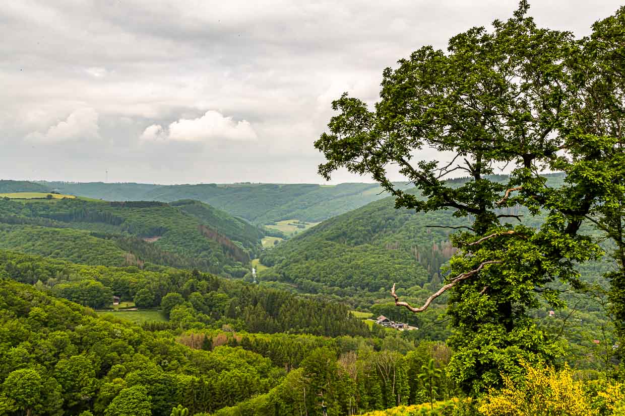 Ardennes luxembourgeoises – Lee Trail