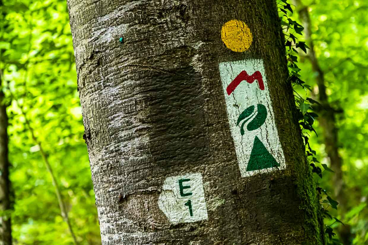 Le Luxembourg, pays vert de la randonnée