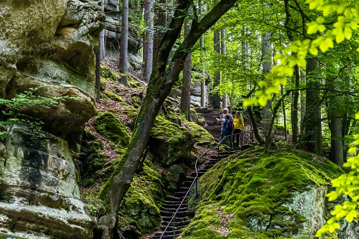Le Mullerthal est connu pour ses formations rocheuses en grès. L'escalier extérieur du grand rocher Perekop. Une échelle raide permet aussi de passer au milieu du rocher / © Foto : Georg Berg
