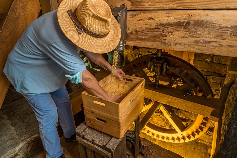 Les différents degrés de mouture permettent d'obtenir différents produits. La farine Farina Bona, fine et soyeuse, est utilisée pour la cuisson et l'aromatisation des aliments / © Photo : Georg Berg
