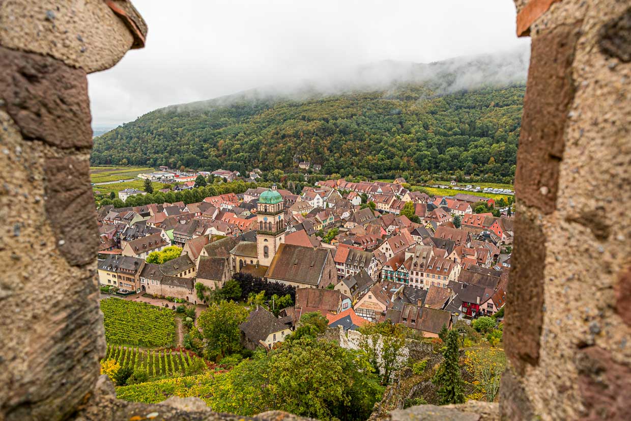 Vignobles, colombages et château fort caractérisent Kaysersberg en Alsace / © Foto : Georg Berg