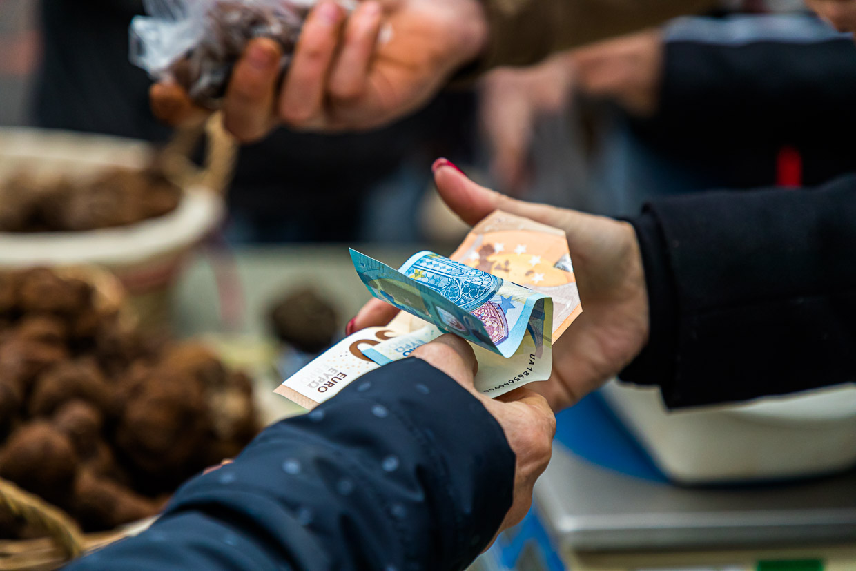 Le prix de la truffe noire d'hiver est d'environ 600 euros le kilo au début de la saison et augmente jusqu'à Noël pour atteindre environ 1.000 euros le kilo / © Photo : Georg Berg
