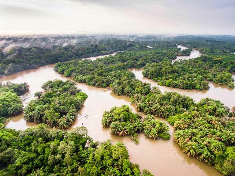 Vue aérienne du fleuve Moa en Sierra Leone / © Photo : Georg Berg