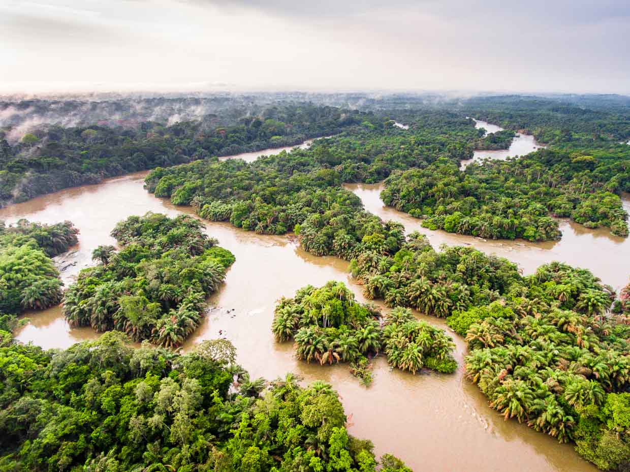 Vue aérienne du fleuve Moa en Sierra Leone / © Photo : Georg Berg