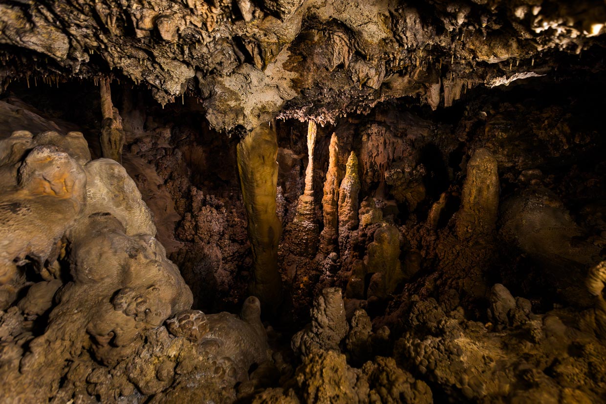 Ninu's Cave est une grotte de stalactites sur l'île de Gozo, qui a été découverte par hasard par Guzepp Rapa sous sa maison d'habitation alors qu'il cherchait de l'eau. Aujourd'hui, ce sont les descendants de la troisième génération qui font visiter la grotte. Le nom de la grotte remonte au propriétaire terrien Ninu Carmel à l'époque de sa découverte en 1888 / © Photo : Georg Berg