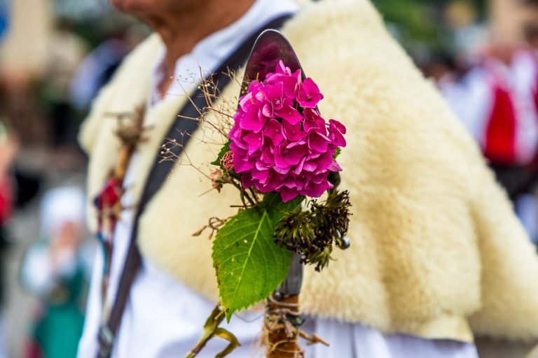 Pelle de berger décorée de fleurs lors du défilé à Wildberg. La petite pelle située à l'extrémité inférieure du bâton de berger remplit plusieurs fonctions pratiques dans la vie quotidienne d'un berger, telles que diriger le troupeau, jeter des mottes de terre, faire signe au chien de berger, prélever des échantillons de fèces, enlever des plantes, arracher des plantes toxiques ou gênantes. La pelle de berger est également un symbole du métier de berger et est souvent utilisée comme emblème / © Foto : Georg Berg